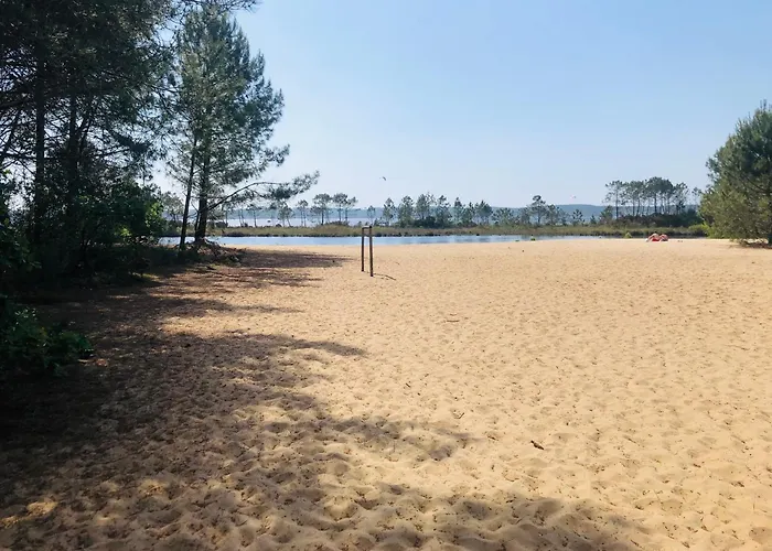 Modern House With Pool, Between And Forest * Lacanau